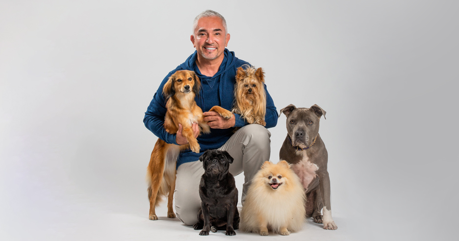 Caesar millan 2024 dog training