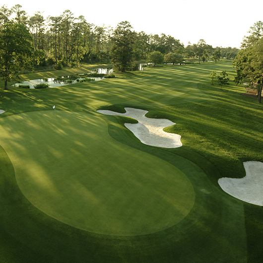 VIP access to The Houston Open & golf at Golf Club of Houston United